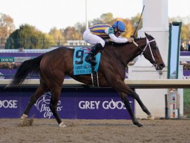 http://betting.betfair.com/horse-racing/US%20My%20Miss%20Aurelia.jpg